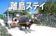 ����Υ�祹�ƥ�