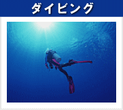 ダイビングを楽しむプラン