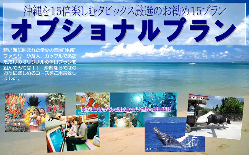 b052,����C�����̌��_�C�r���O,02,�z�G�[���E�I�b�`���O,17,images