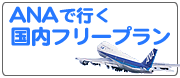 ANA�ǹԤ�����ե꡼�ץ��