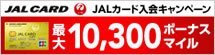 JAL�J�[�h�̓���͂����炩��