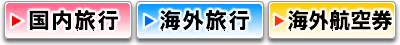 ��˥塼